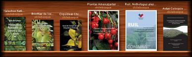 Ir a la Biblioteca Chilebosque sobre Flora Chilena y Biodiversidad