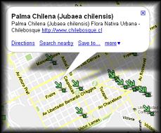 flora nativa en las ciudades de chile